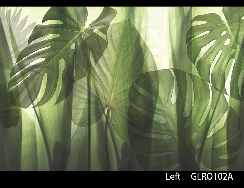 EQUATORIAL JUNGLE