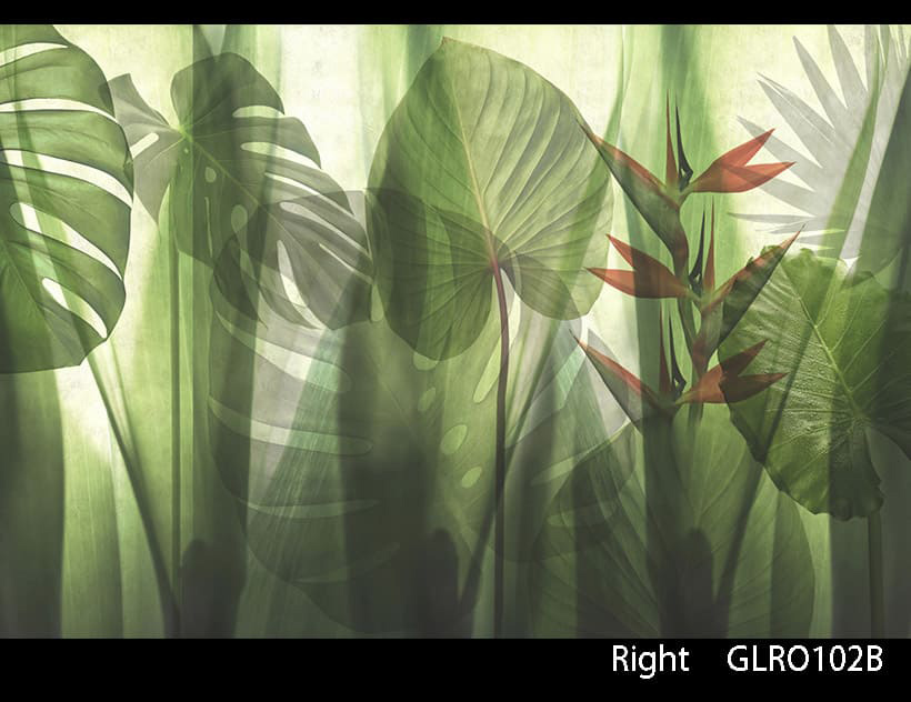 EQUATORIAL JUNGLE