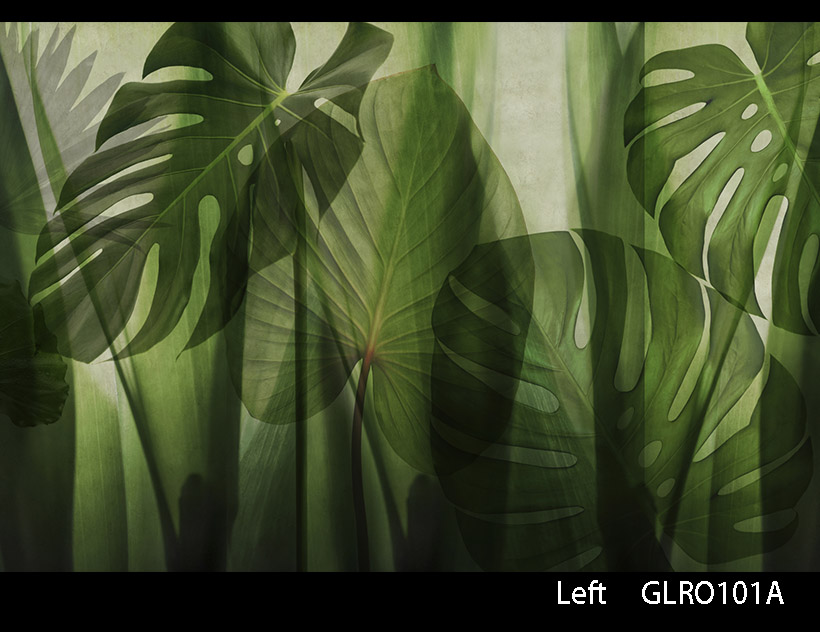EQUATORIAL JUNGLE