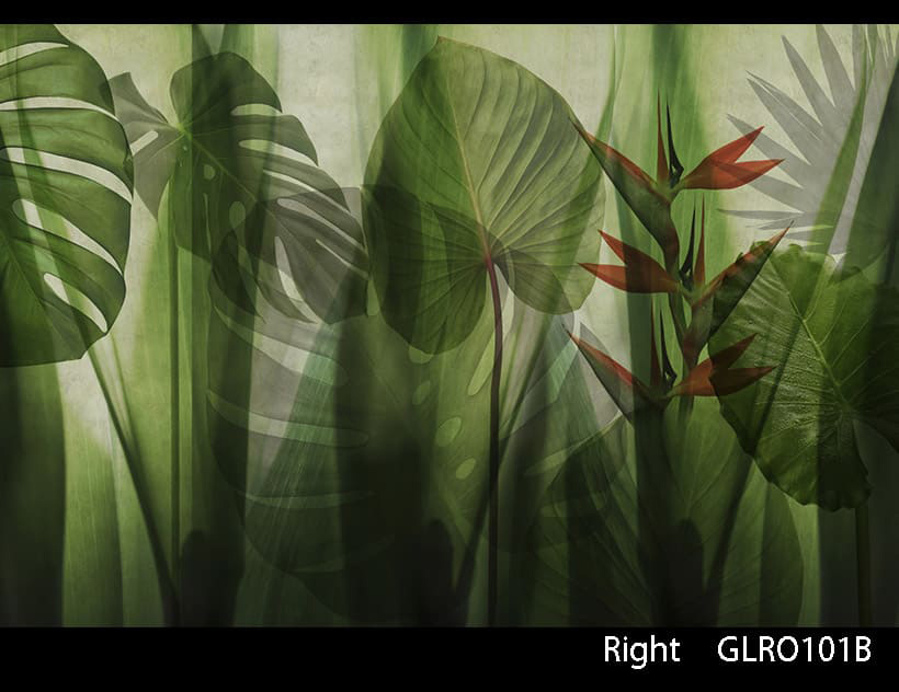 EQUATORIAL JUNGLE