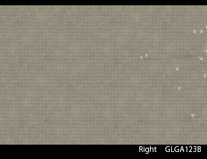 ASTEROIDS