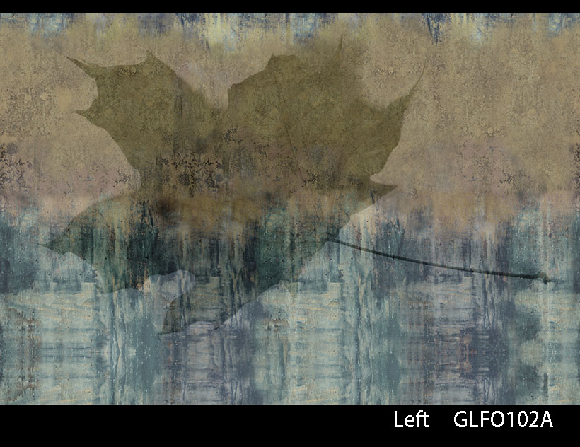 FOLIUM