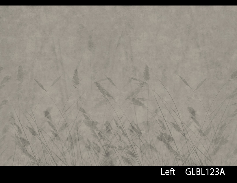 BLUR