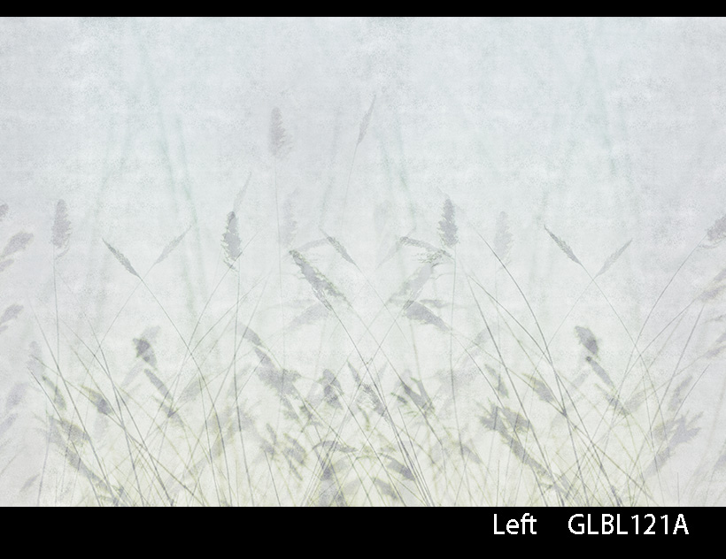 BLUR
