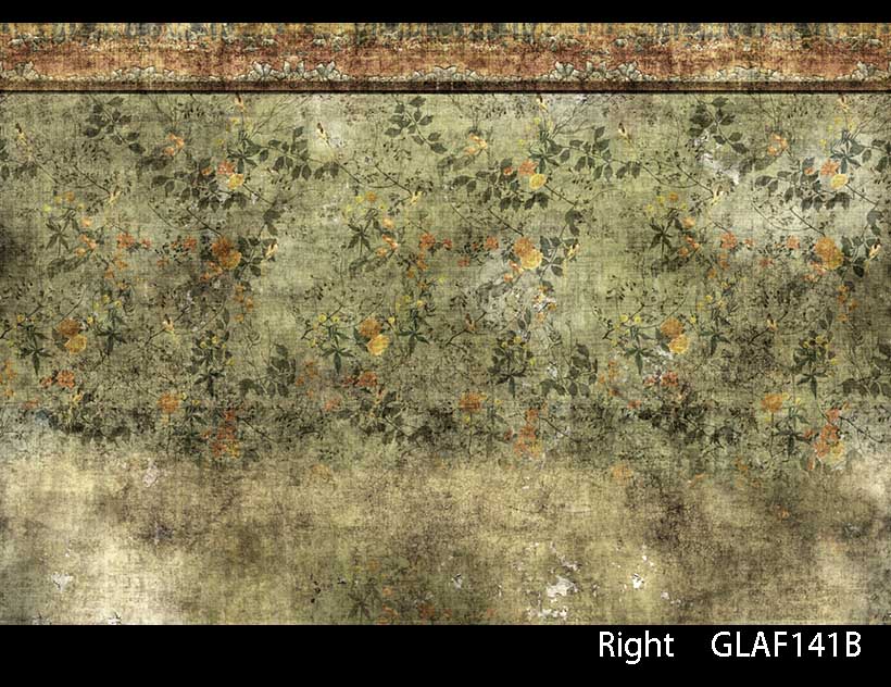 GAUDIUM