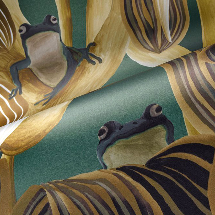 LES GRENOUILLES DE CHAVROCHES