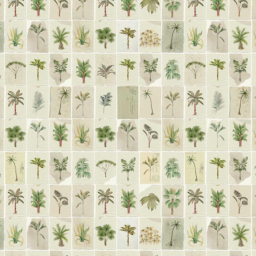 Postcards from the Tropics