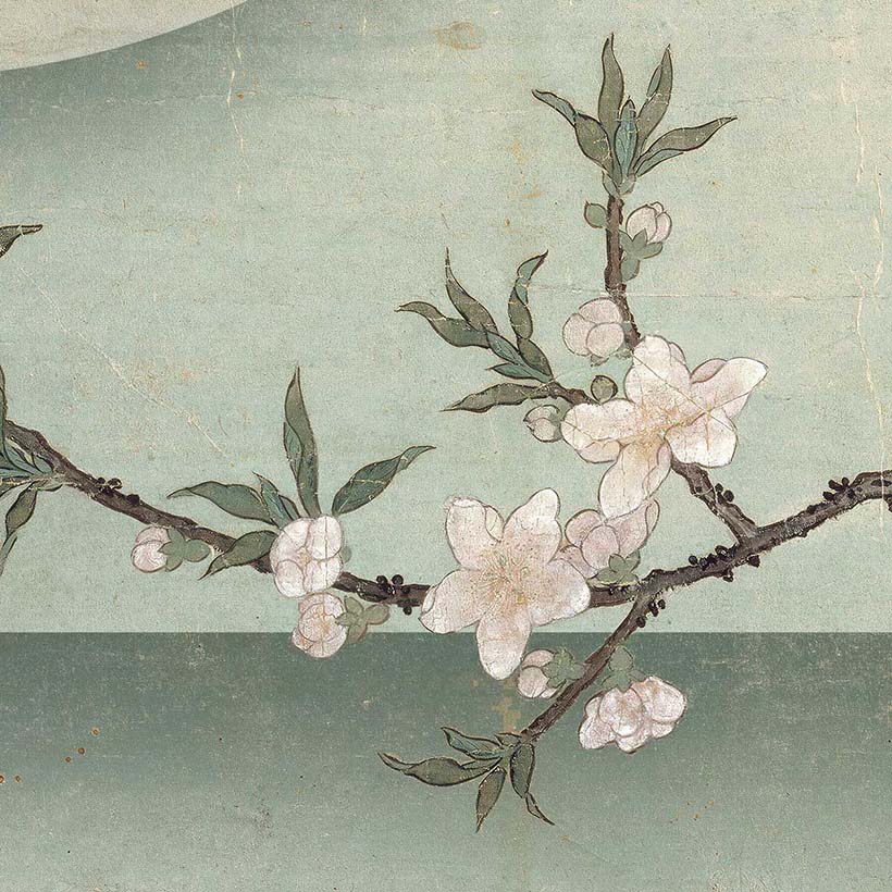 Bird peach blossom