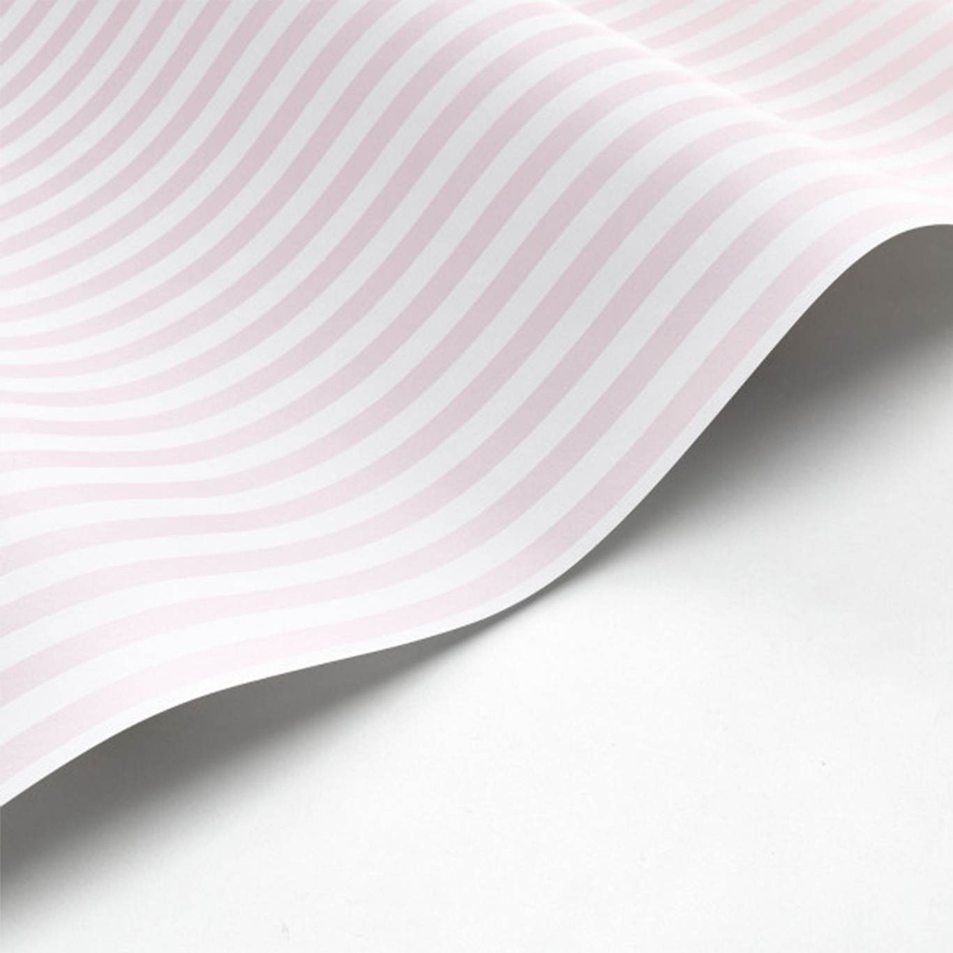 My Little World Rayure