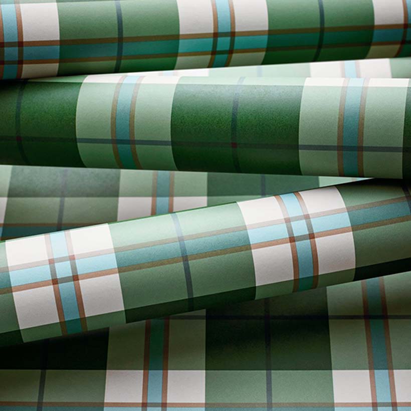 DOUGLAS PLAID