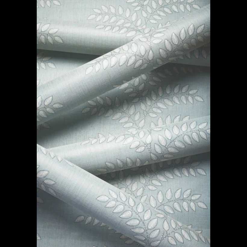 FRONDESCENCE