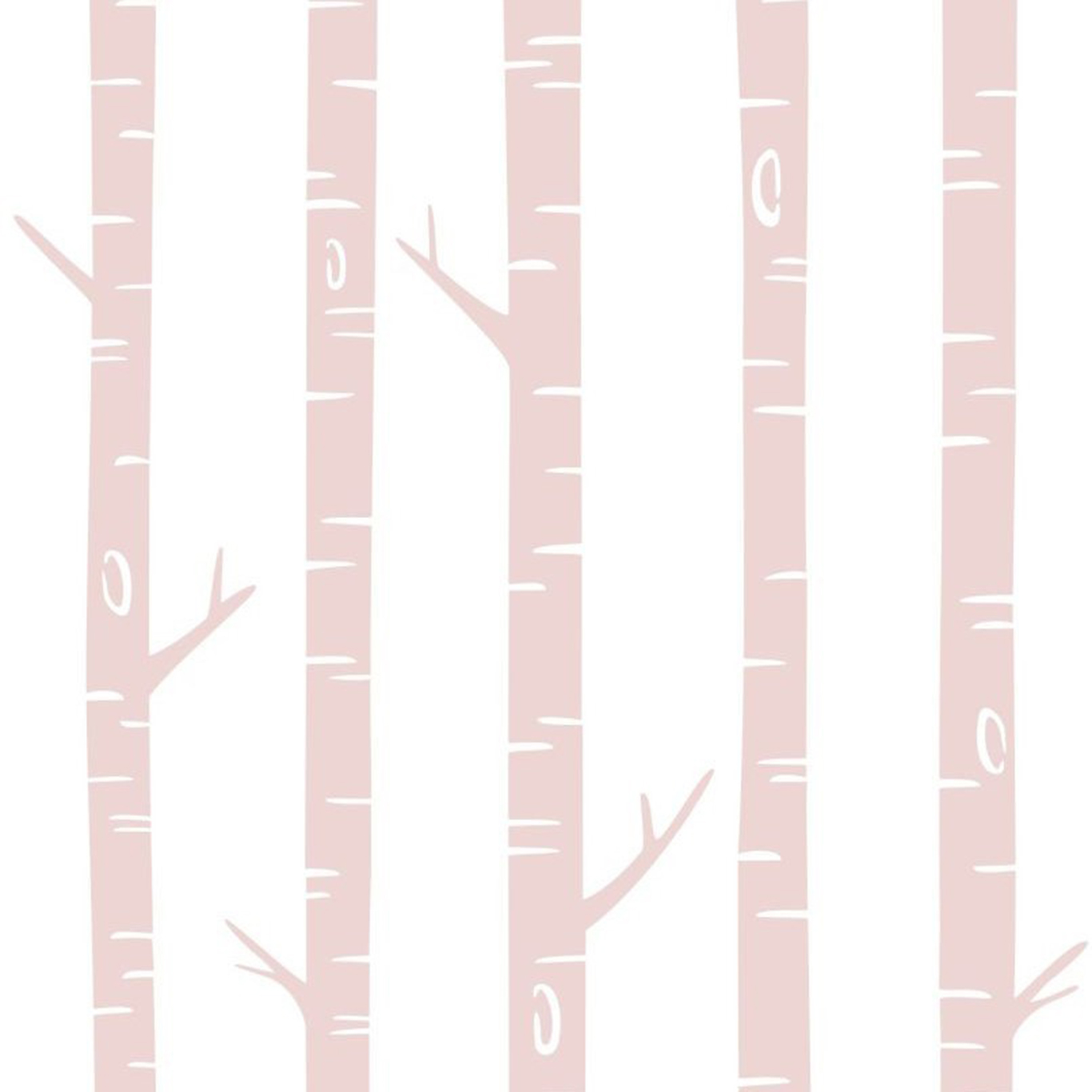 Photowall XL-Birch trees pink