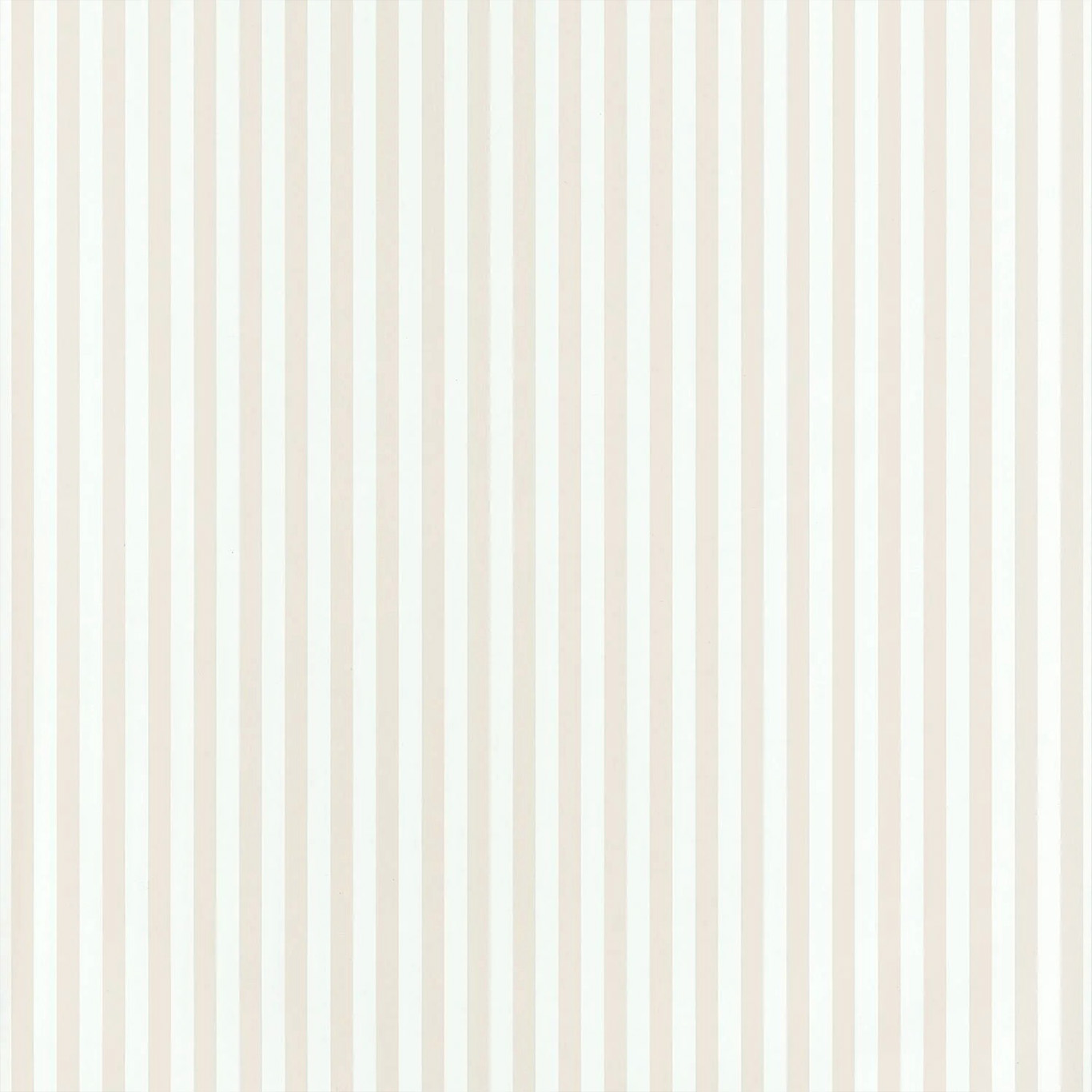 My Little World Rayure