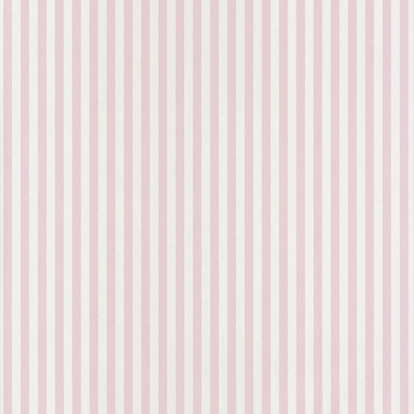 My Little World Rayure