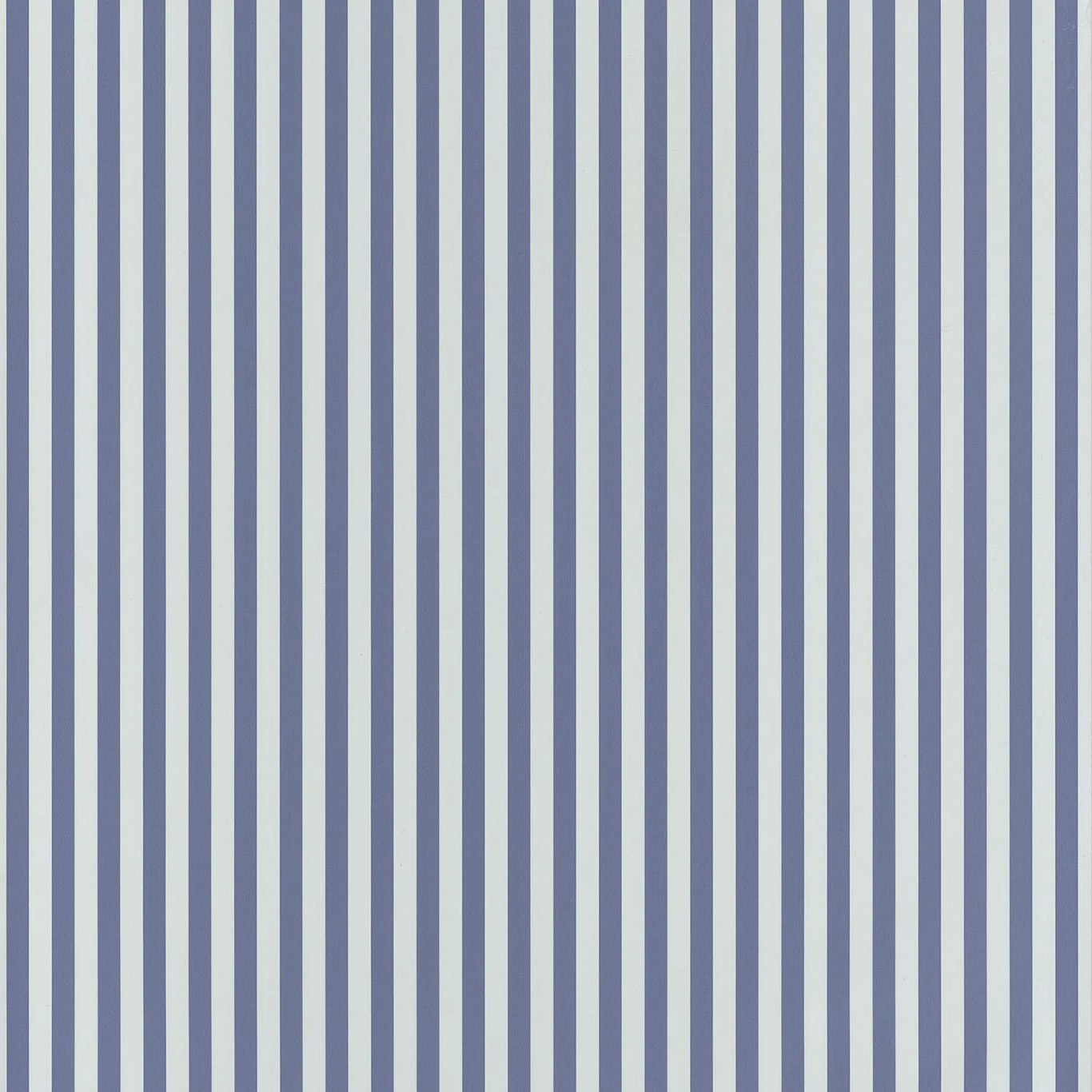 My Little World Rayure