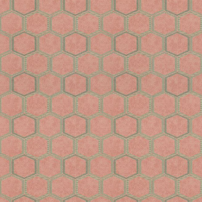 MANIPUR CORAL