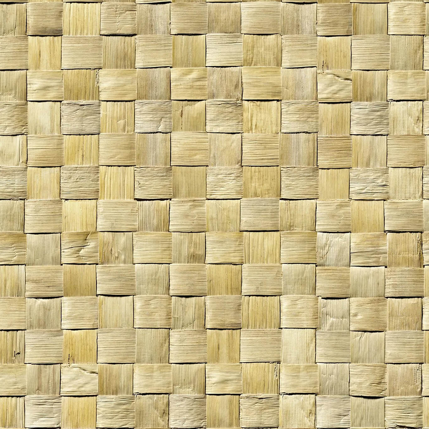 Struktura