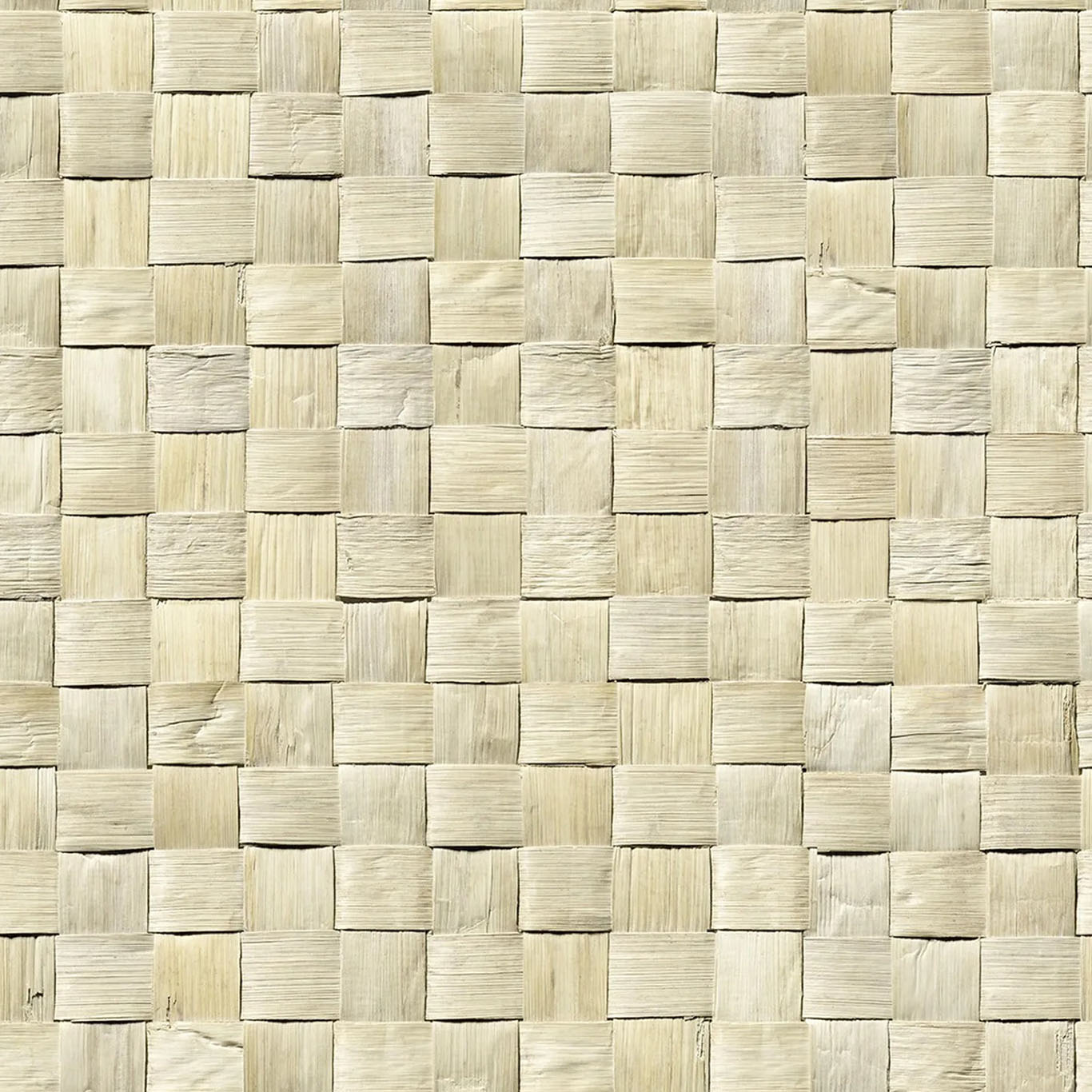 Struktura