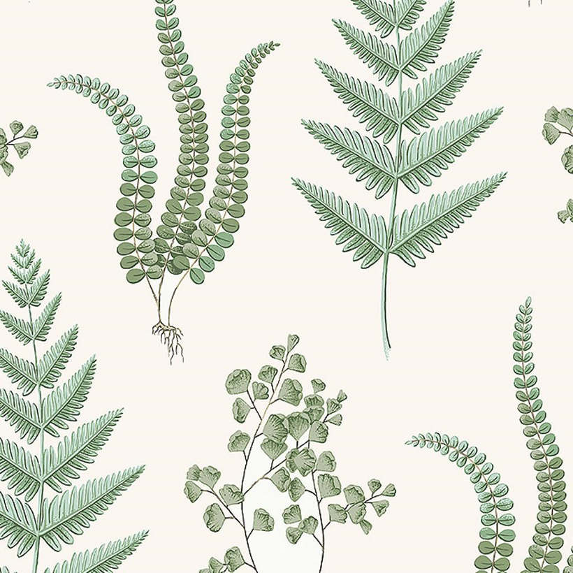 Herba
