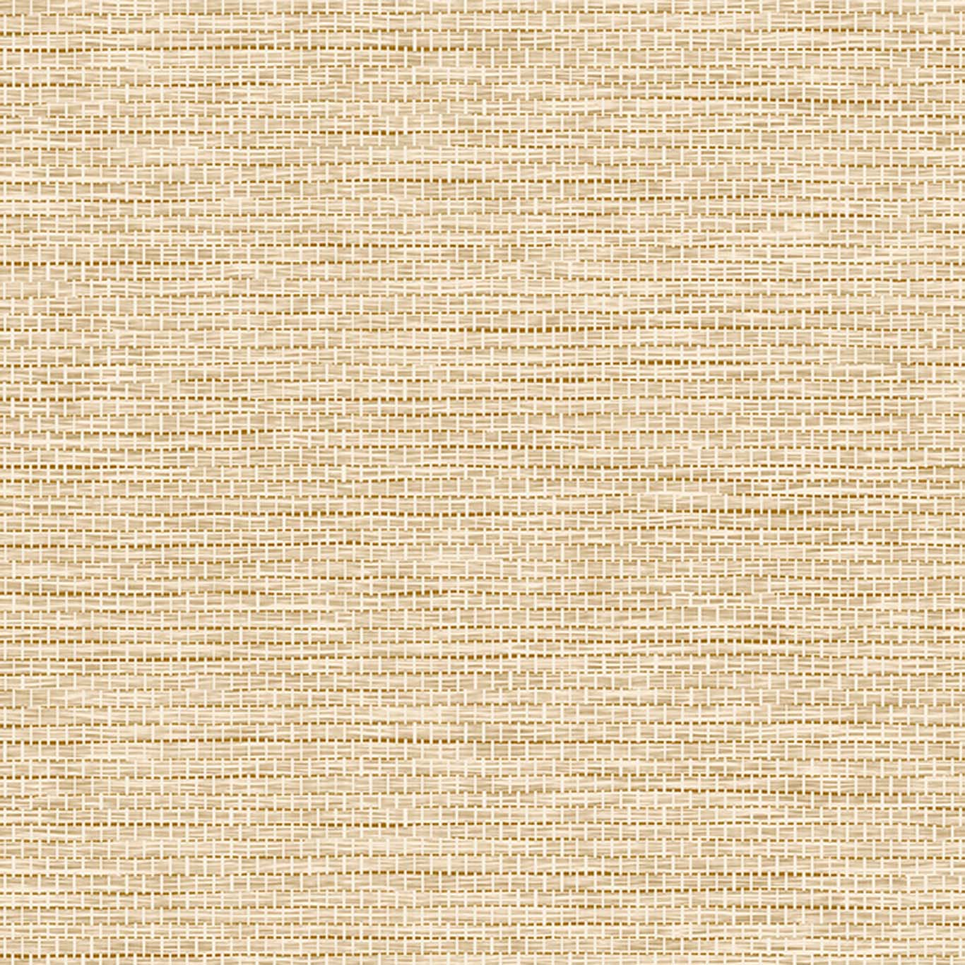 LE PAPIER TISSE