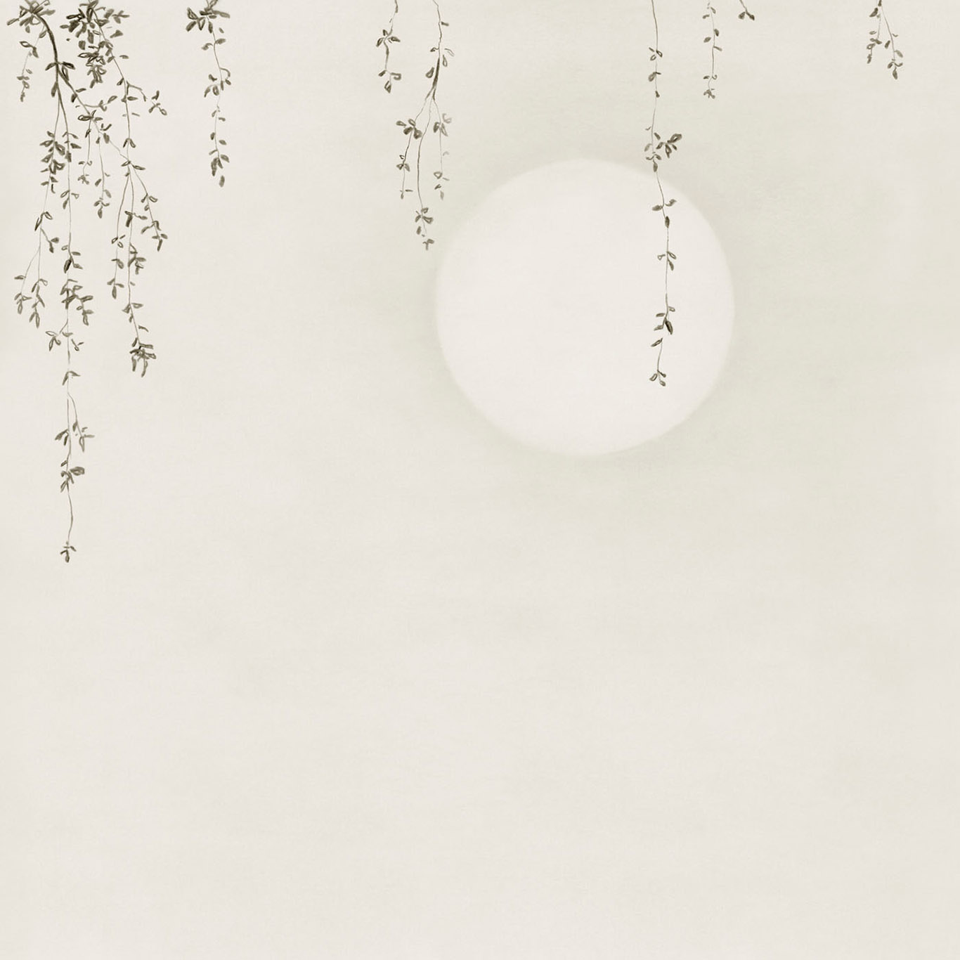 WABI SABI