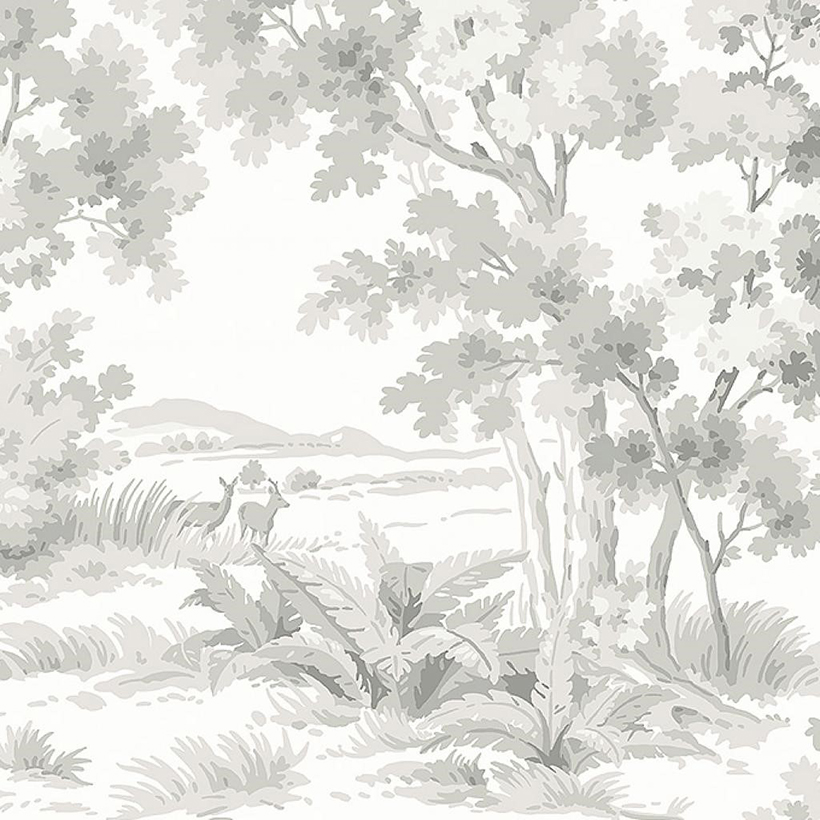 Countryside Morning