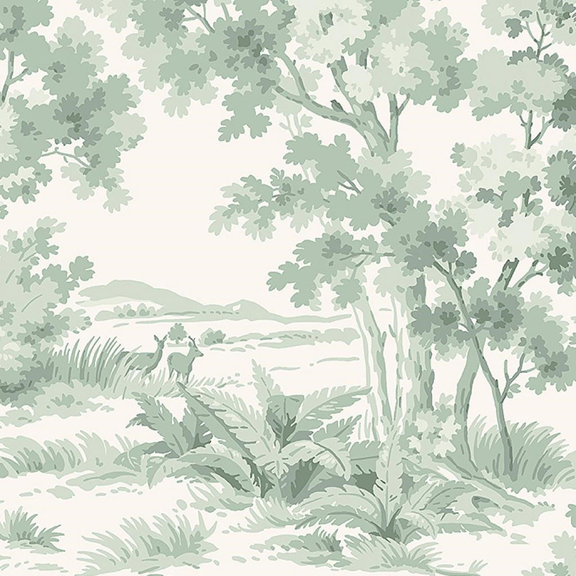 Countryside Morning