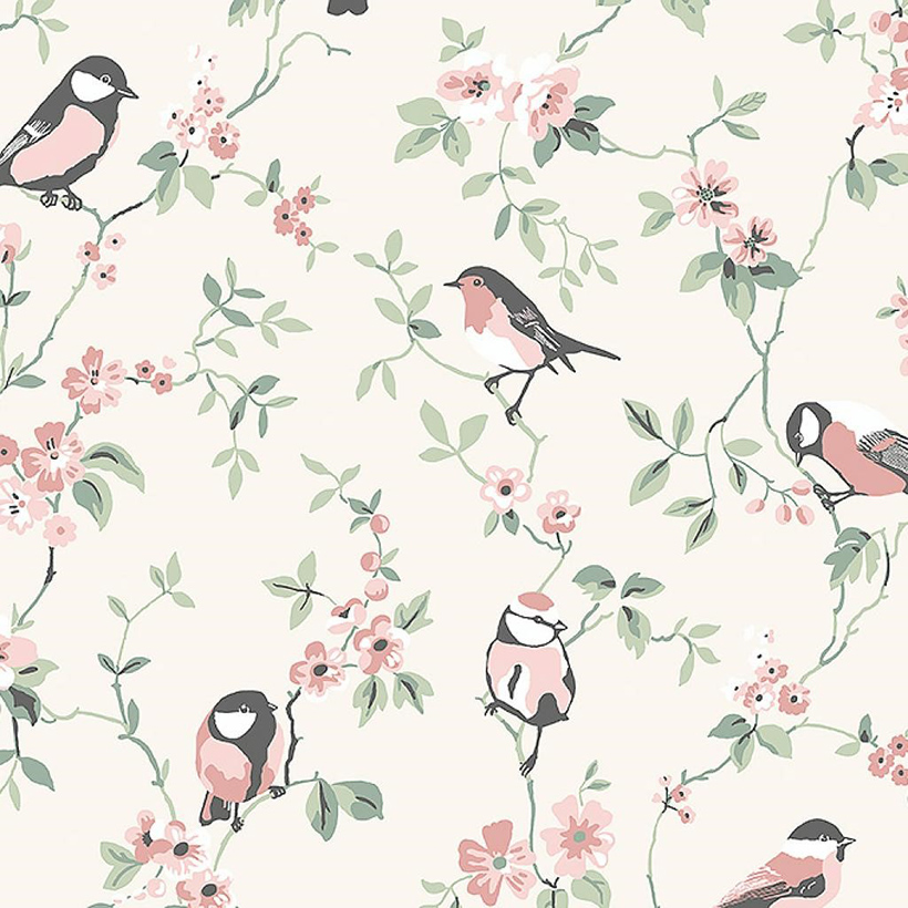 Falsterbo Birds