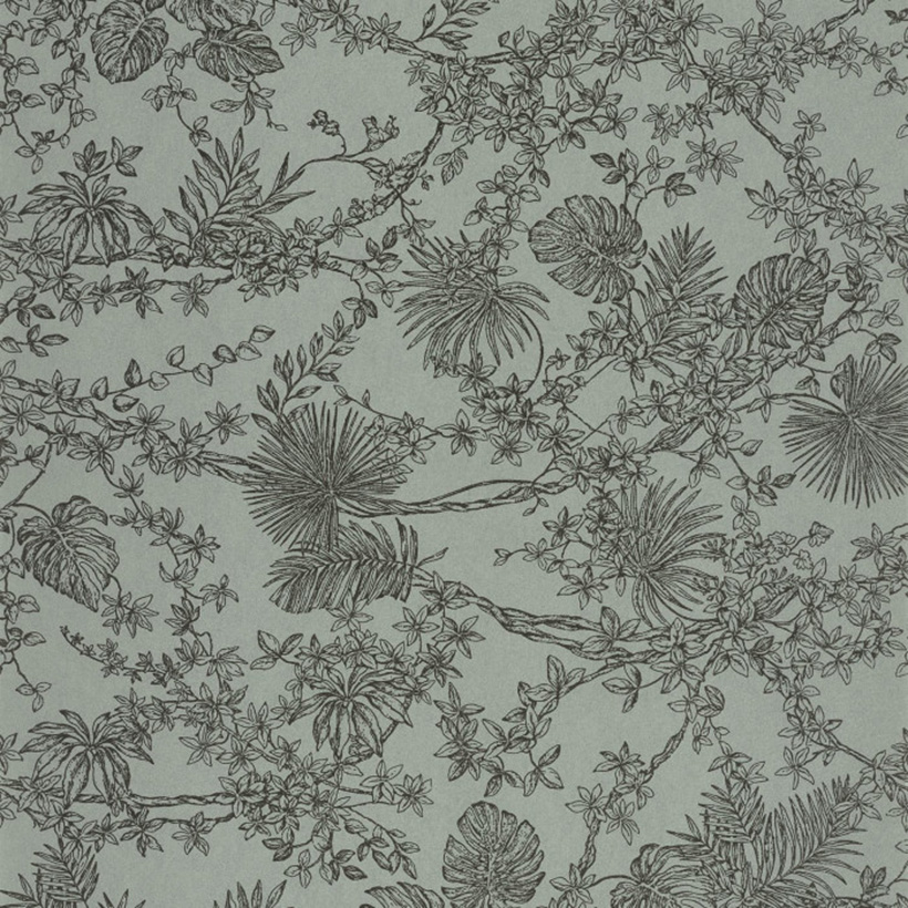 JARDIN DES PLANTES VELOURS