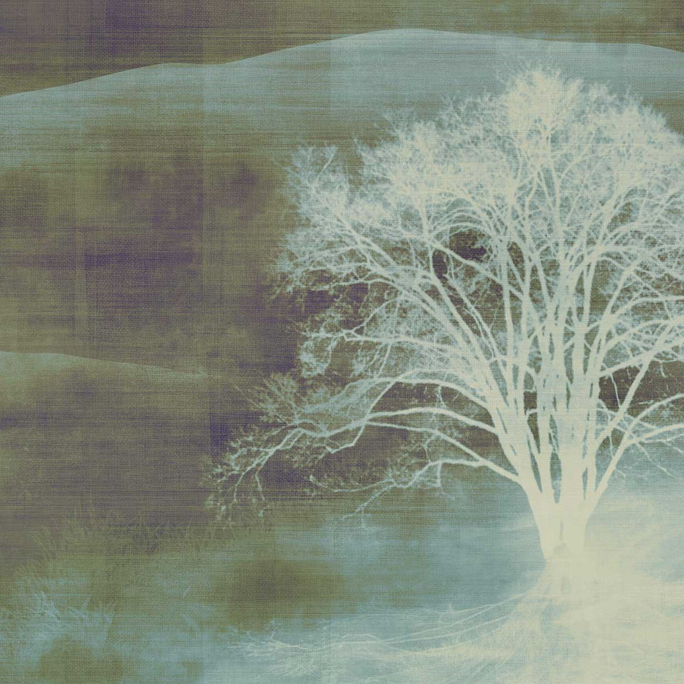 MIST