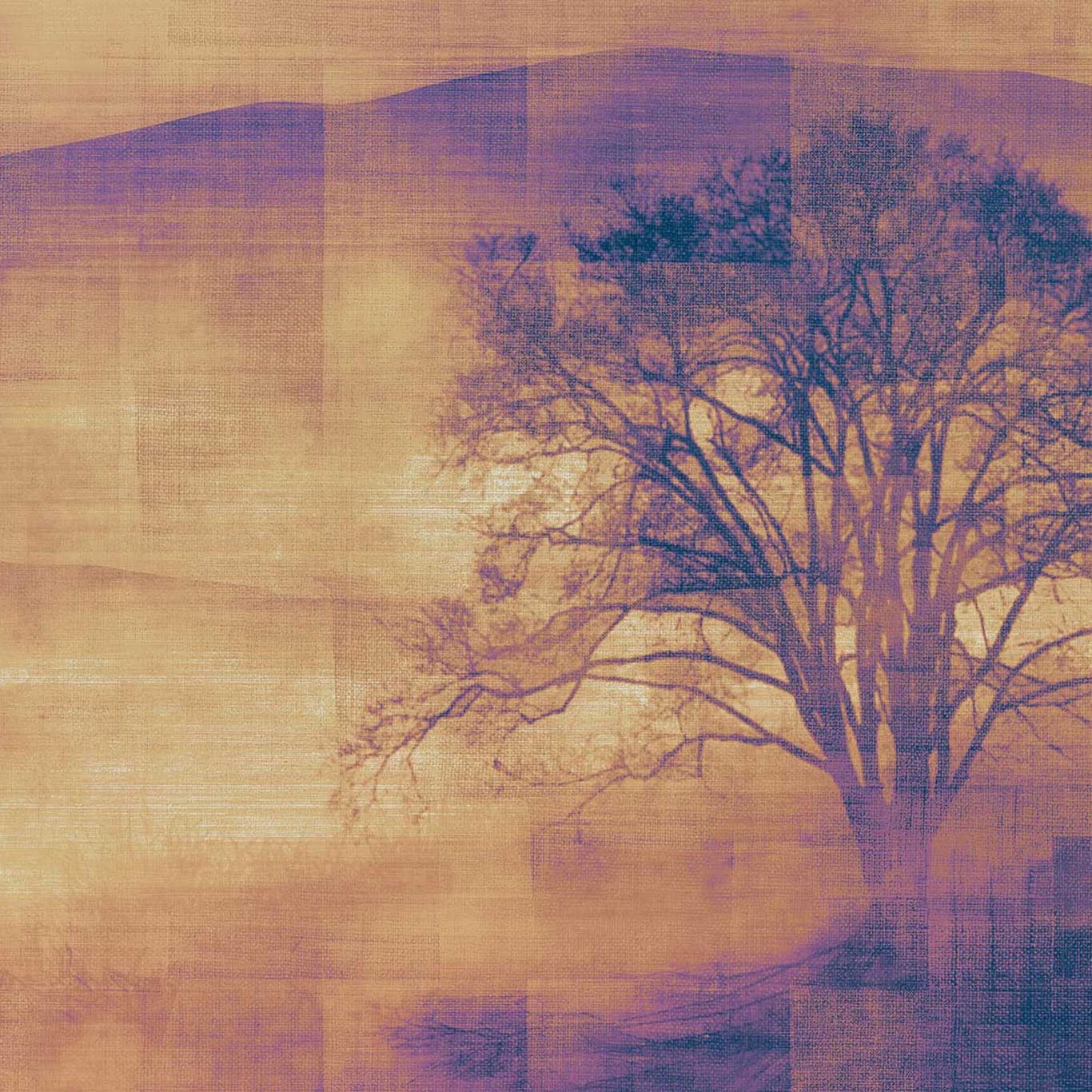 MIST