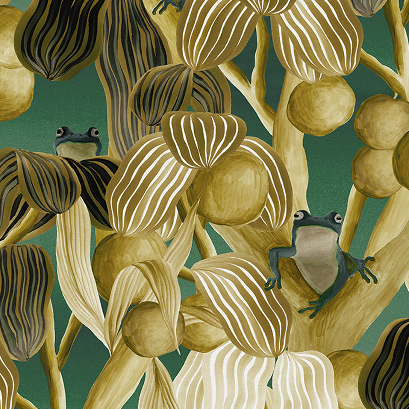 LES GRENOUILLES DE CHAVROCHES