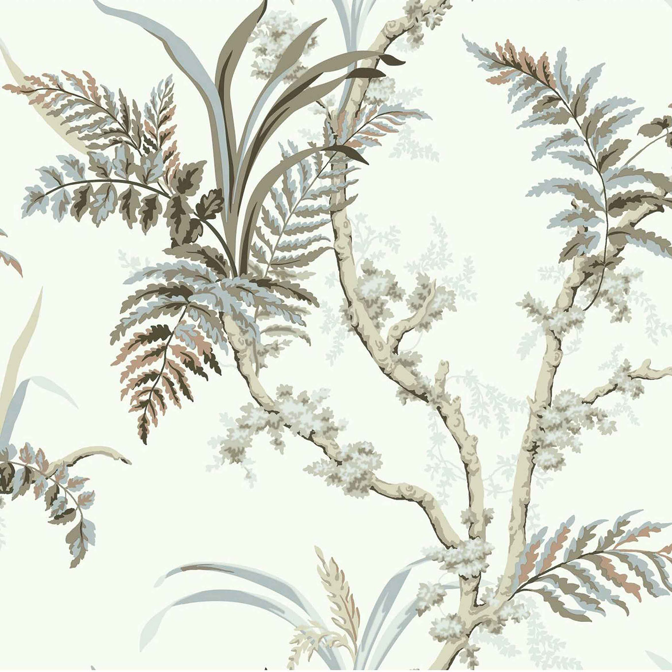 Wild Ferns