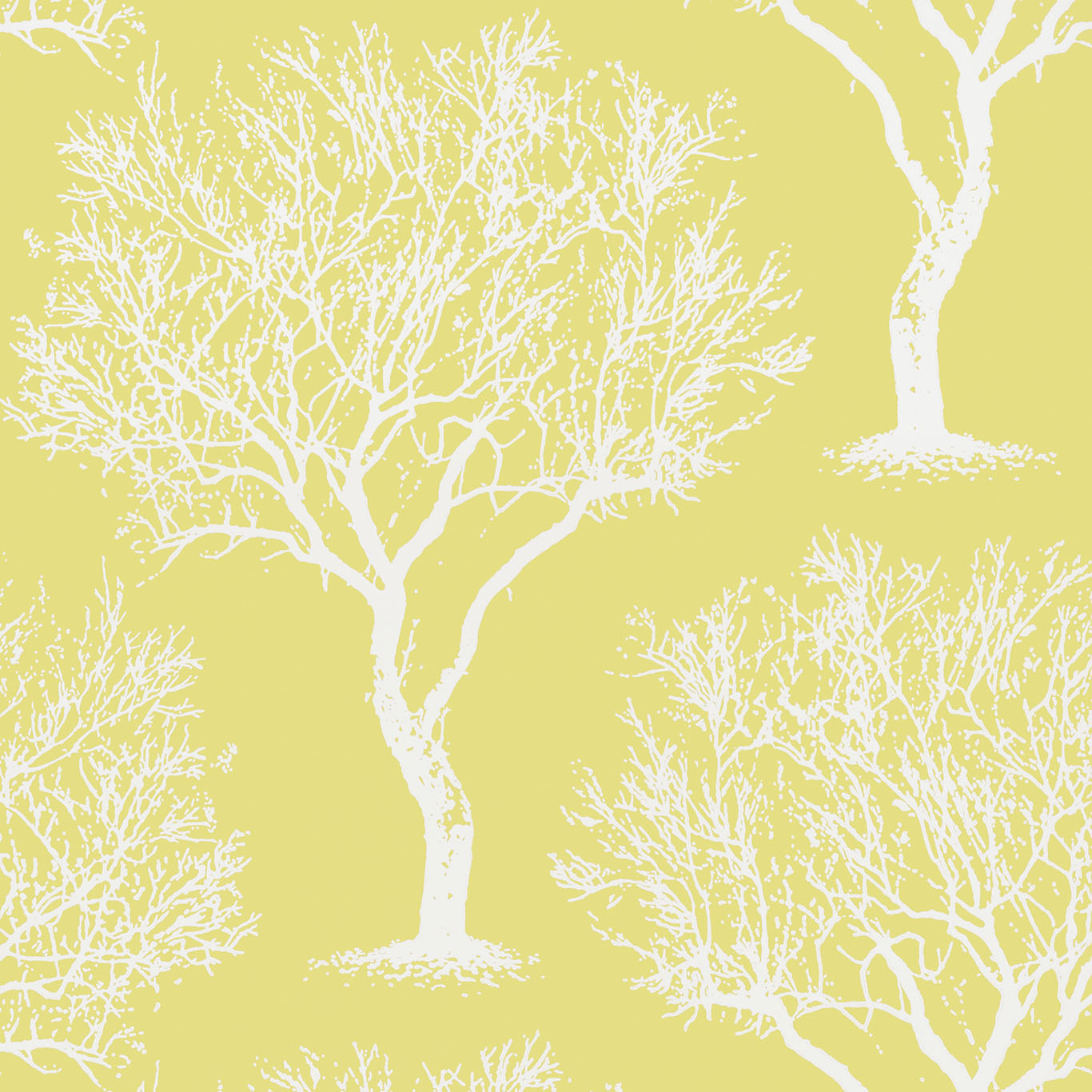 WINFELL FOREST