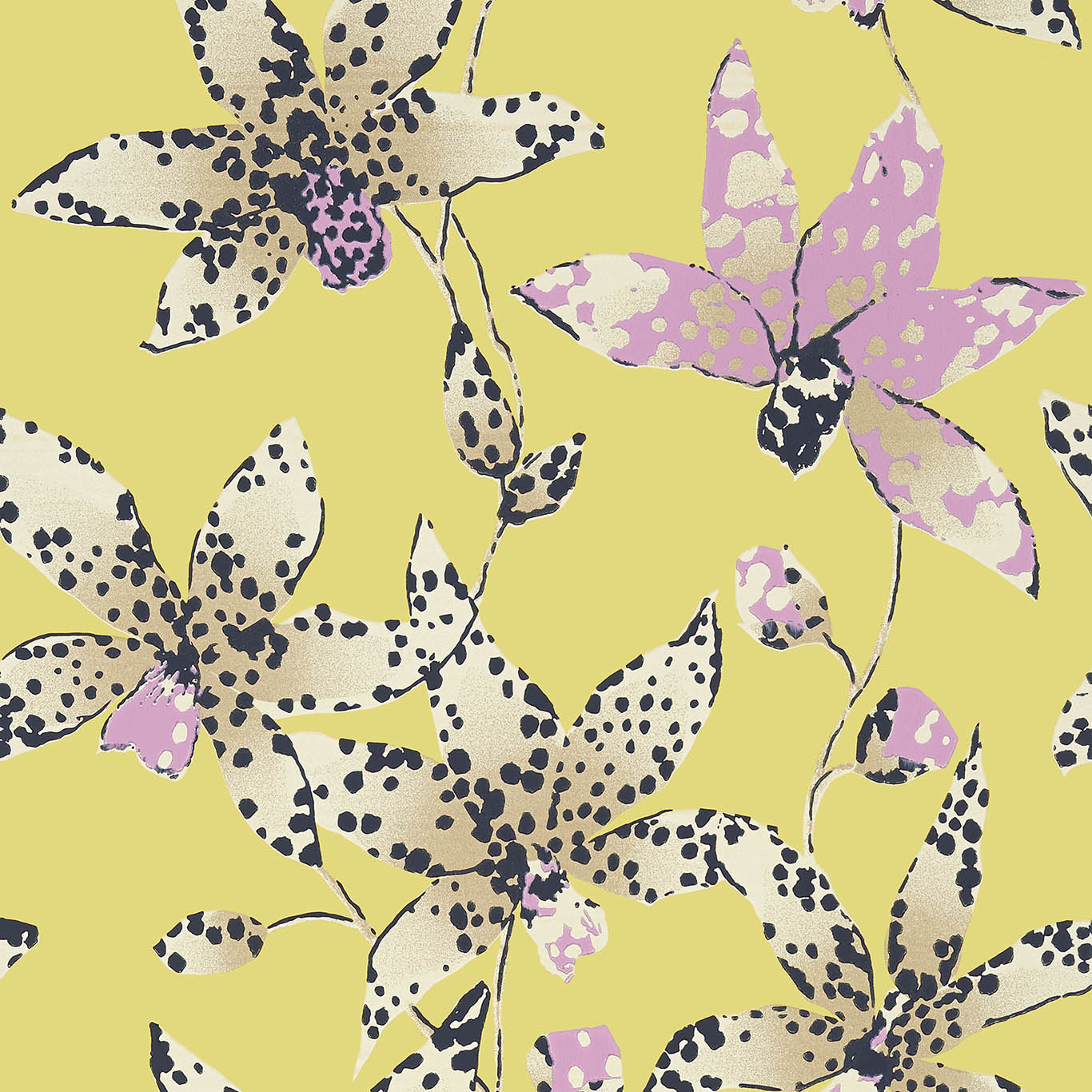 SPOTTED ORCHID