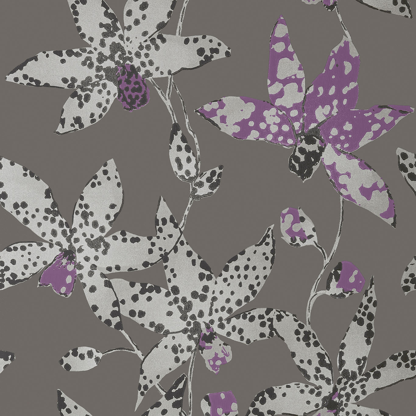 SPOTTED ORCHID