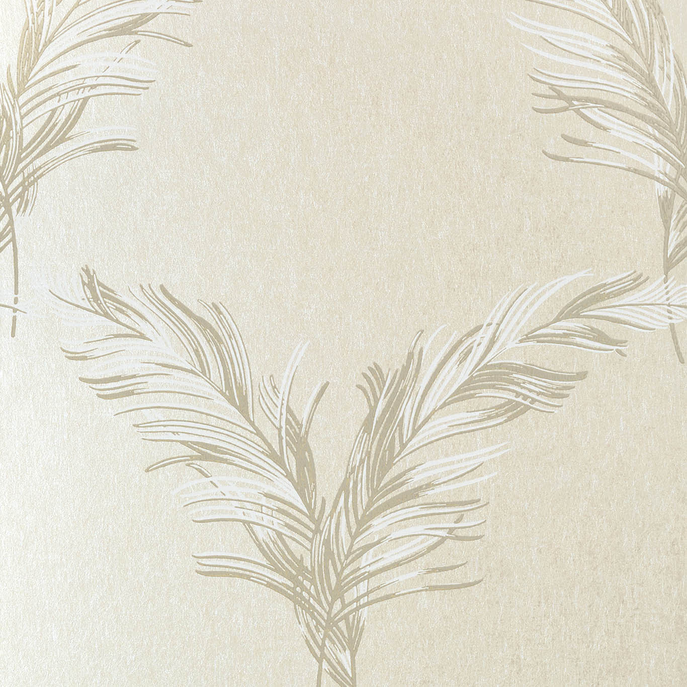 PLUMES