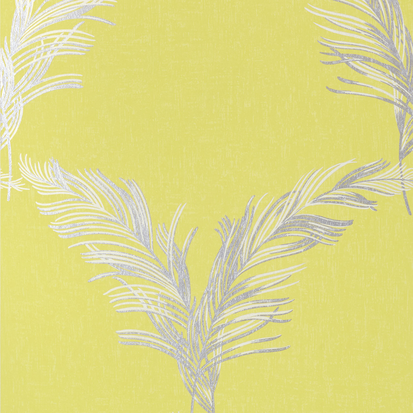 PLUMES