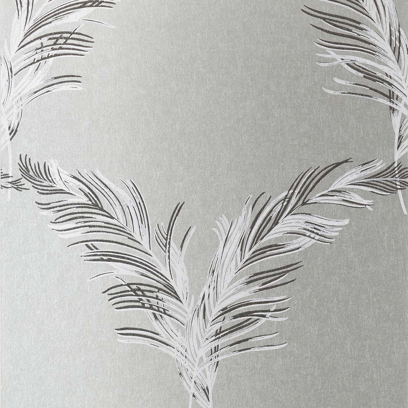 PLUMES