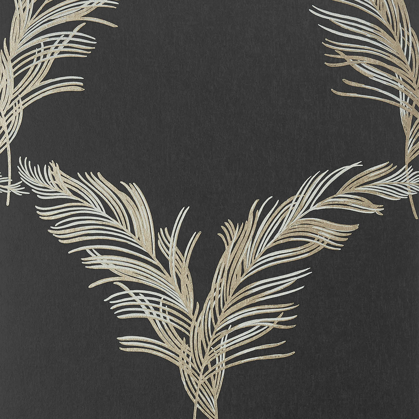 PLUMES