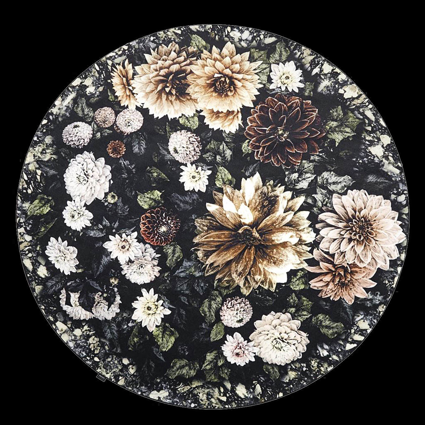 DAHLIA