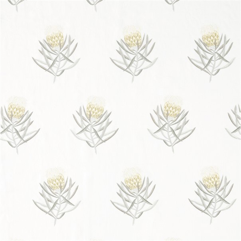 PROTEA FLOWER