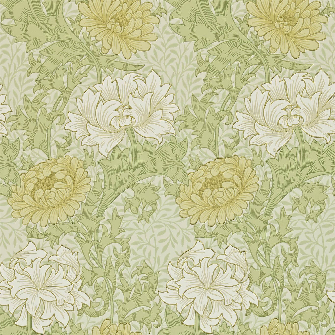 CHRYSANTHEMUM