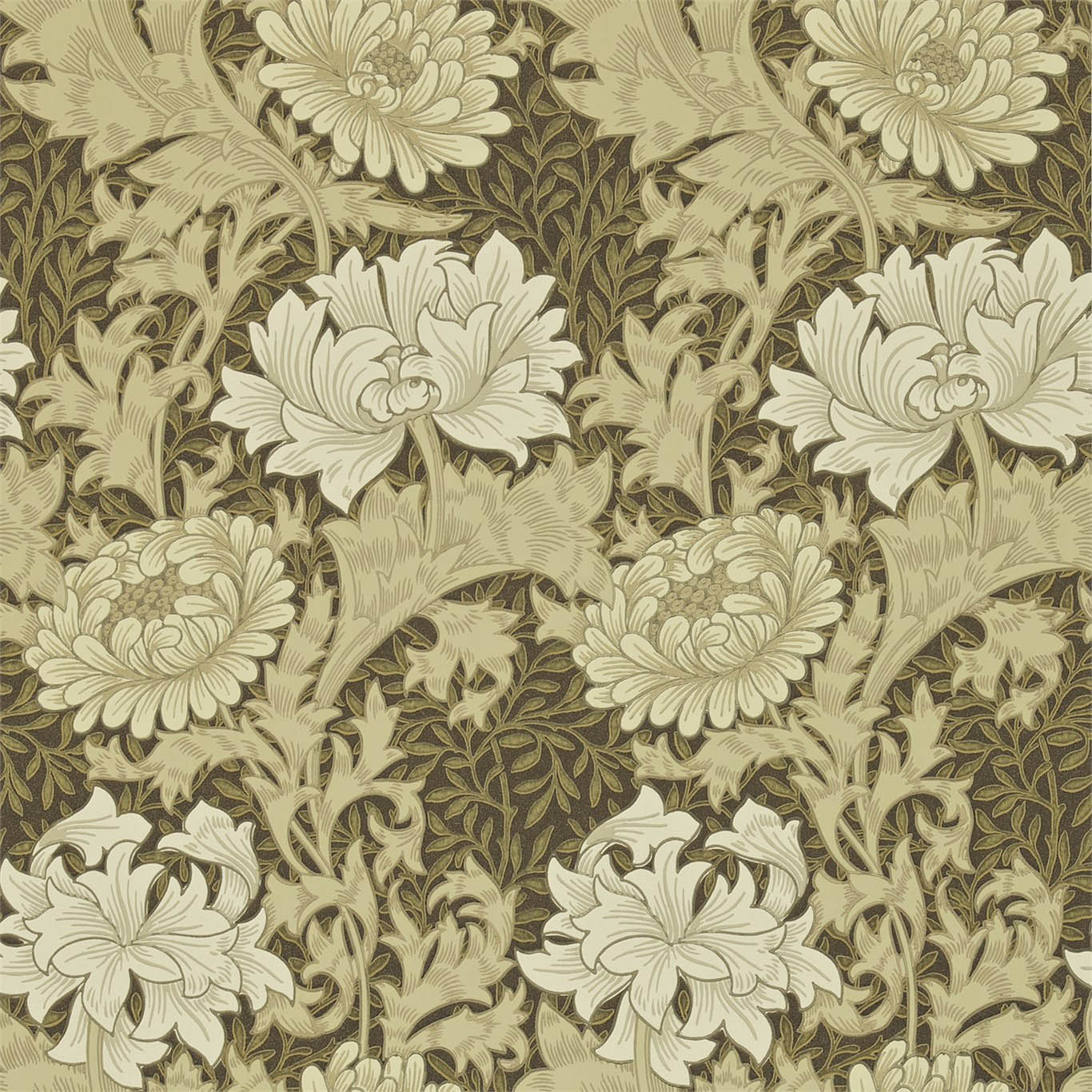CHRYSANTHEMUM