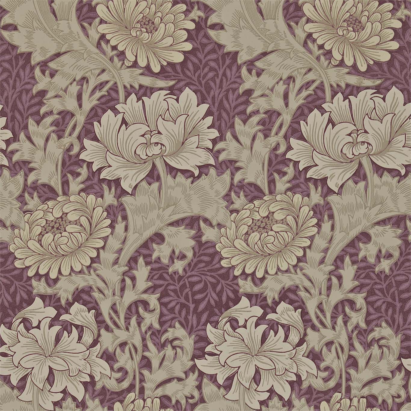 CHRYSANTHEMUM