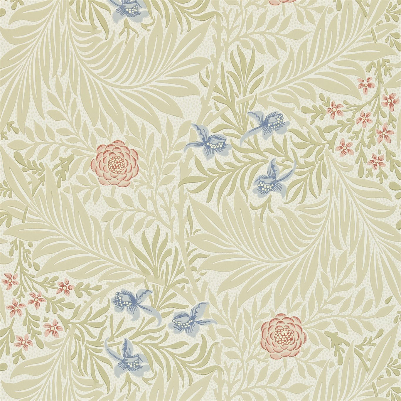 LARKSPUR
