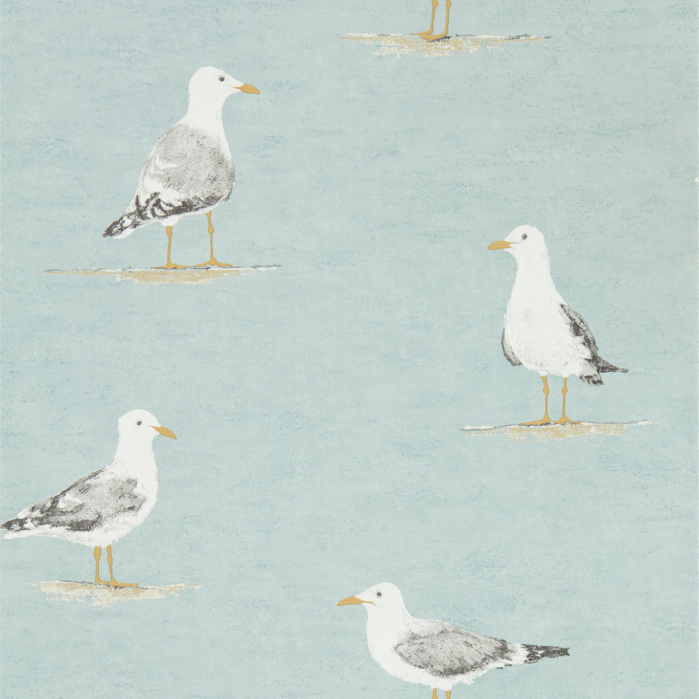 SHORE BIRDS