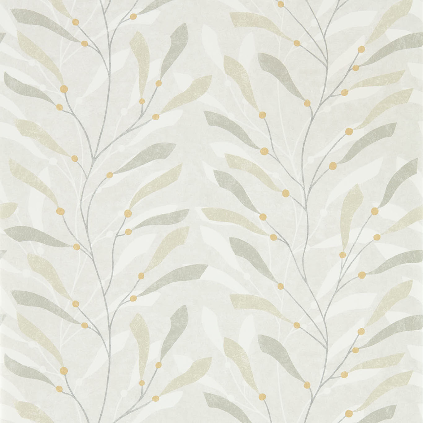 SEA KELP