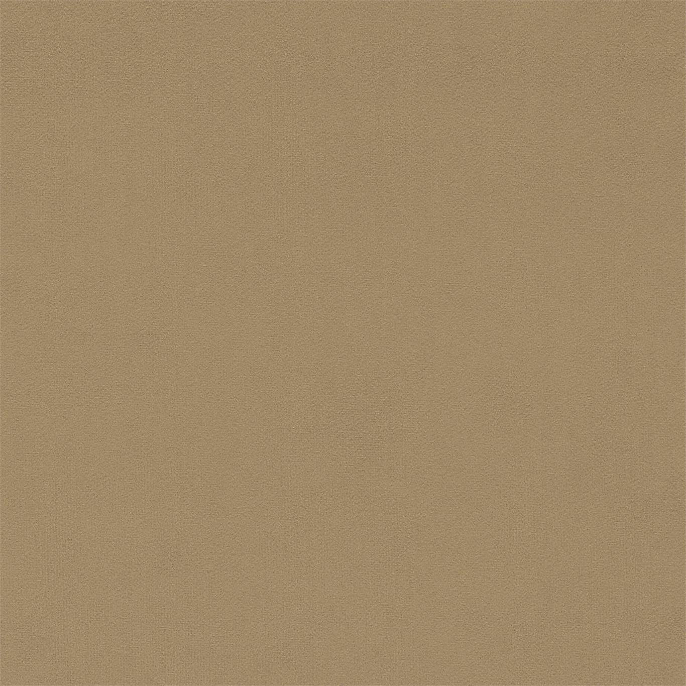 DORTON