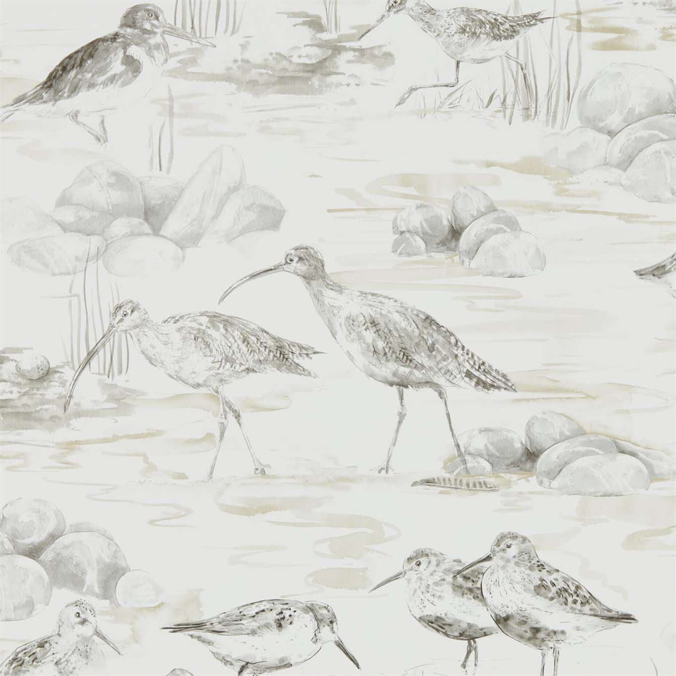 ESTUARY BIRDS CHALK/SEPIA